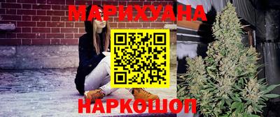 молекула духа Будённовск