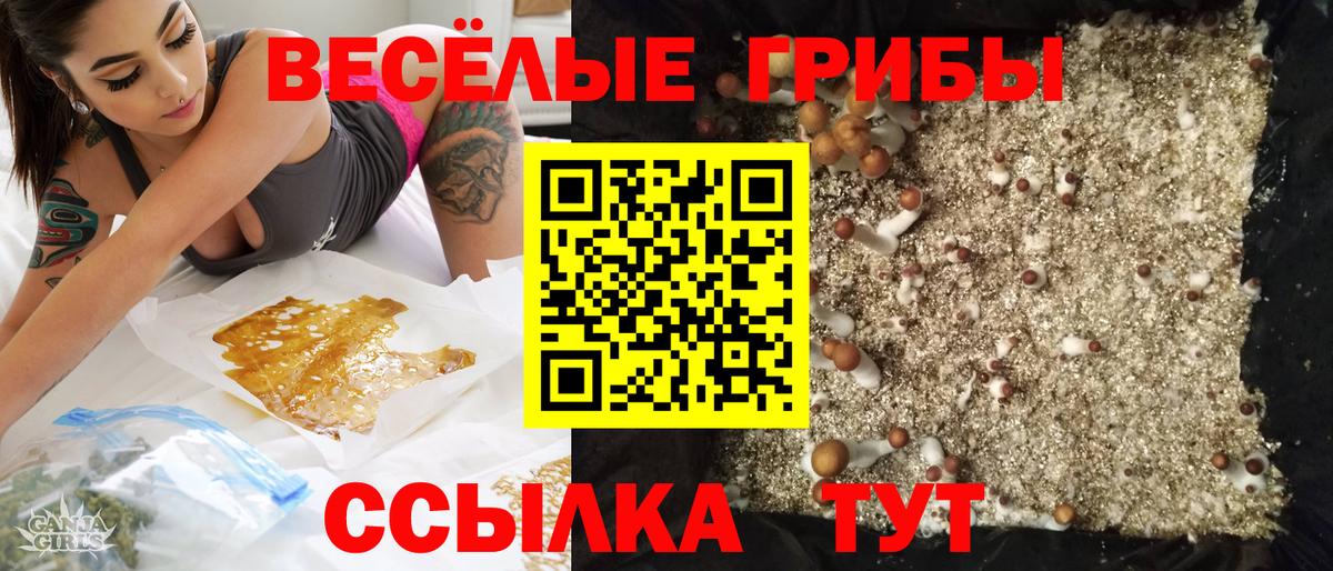 Псилоцибиновые грибы мицелий Пугачёв