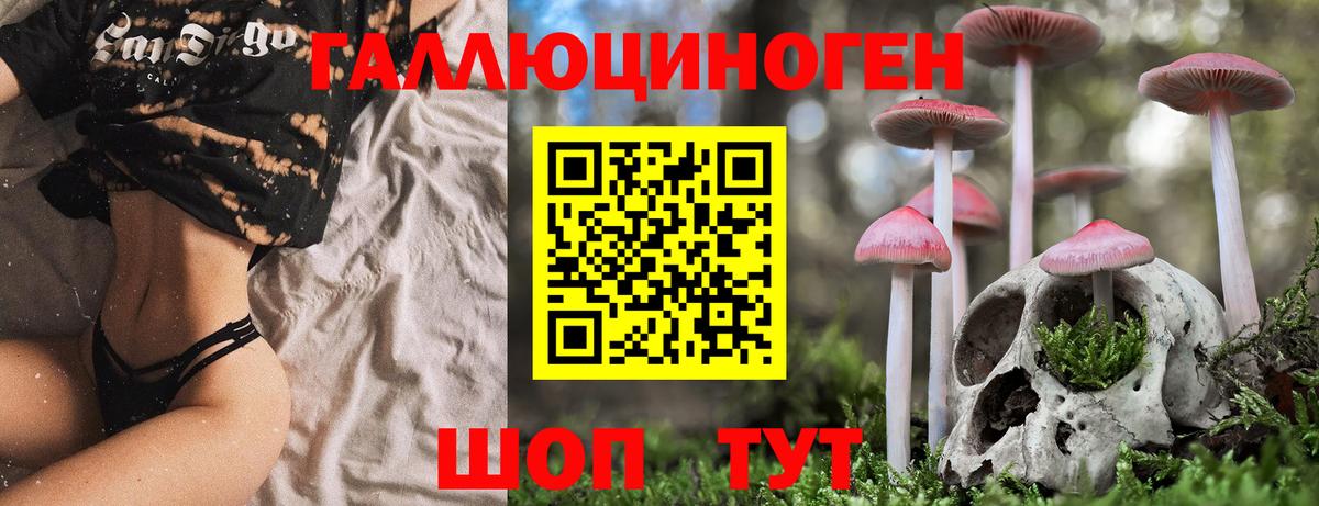 Галлюциногенные грибы мицелий  Вход с VPN  Псилоцибиновые грибы Psilocybine cubensis  Пугачёв 